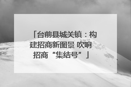 台前县城关镇：构建招商新图景 吹响招商“集结号”