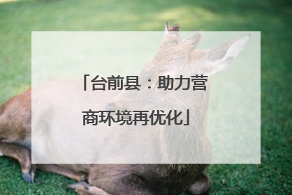 台前县：助力营商环境再优化