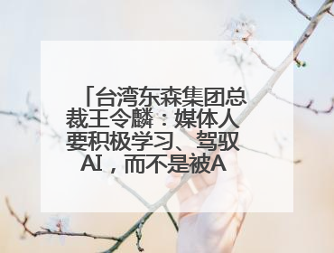 台湾东森集团总裁王令麟：媒体人要积极学习、驾驭AI，而不是被AI利用