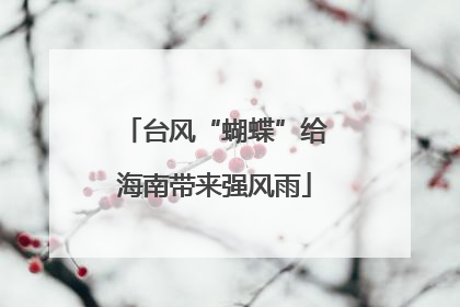 台风“蝴蝶”给海南带来强风雨