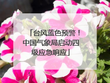 台风蓝色预警！中国气象局启动四级应急响应