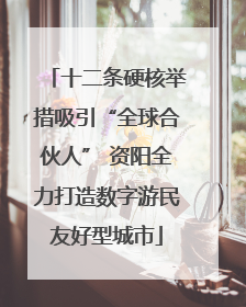 十二条硬核举措吸引“全球合伙人” 资阳全力打造数字游民友好型城市
