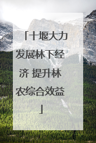 十堰大力发展林下经济 提升林农综合效益