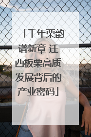 千年栗韵谱新章 迁西板栗高质发展背后的产业密码