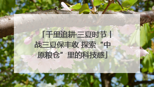 千里追耕·三夏时节丨战三夏保丰收 探索“中原粮仓”里的科技感