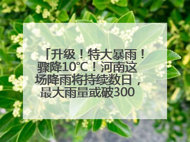 升级！特大暴雨！骤降10℃！河南这场降雨将持续数日，最大雨量或破300毫米极端纪录