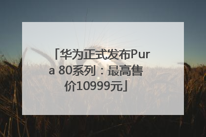 华为正式发布Pura 80系列：最高售价10999元