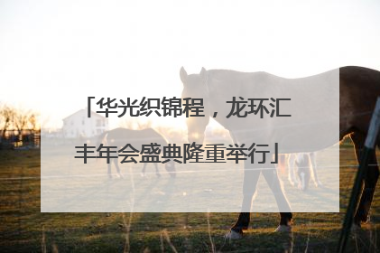 华光织锦程，龙环汇丰年会盛典隆重举行