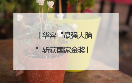 华容“最强大脑”斩获国家金奖