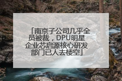 南京子公司几乎全员被裁，DPU明星企业芯启源核心研发部门已人去楼空