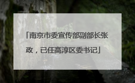 南京市委宣传部副部长张政，已任高淳区委书记