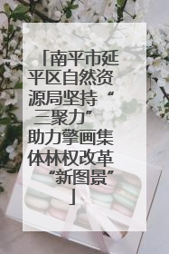 南平市延平区自然资源局坚持“三聚力” 助力擎画集体林权改革“新图景”