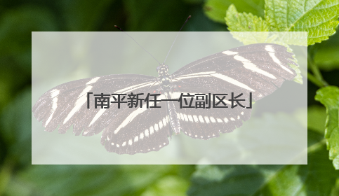 南平新任一位副区长