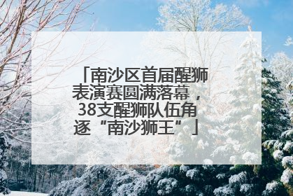南沙区首届醒狮表演赛圆满落幕，38支醒狮队伍角逐“南沙狮王”