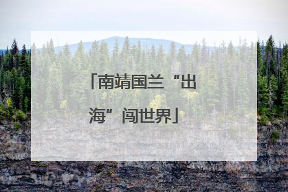 南靖国兰“出海”闯世界