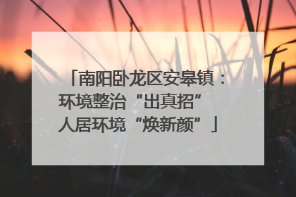 南阳卧龙区安皋镇：环境整治“出真招” 人居环境“焕新颜”