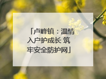 卢峰镇：温情入户护成长 筑牢安全防护网