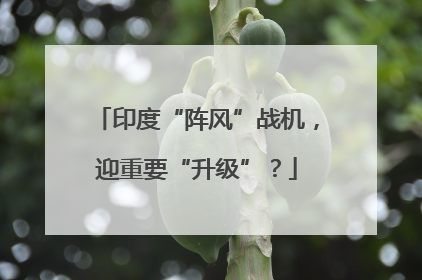 印度“阵风”战机，迎重要“升级”？