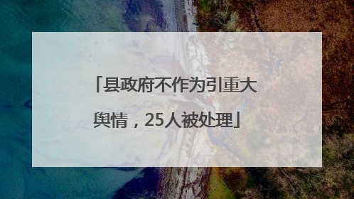 县政府不作为引重大舆情，25人被处理