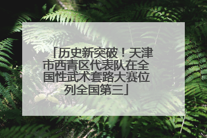 历史新突破！天津市西青区代表队在全国性武术套路大赛位列全国第三