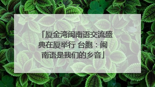 厦金湾闽南语交流盛典在厦举行 台胞：闽南语是我们的乡音