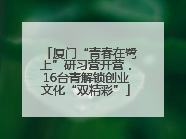 厦门“青春在鹭上”研习营开营，16台青解锁创业文化“双精彩”