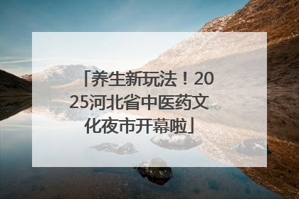 养生新玩法！2025河北省中医药文化夜市开幕啦