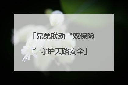 兄弟联动“双保险”守护天路安全