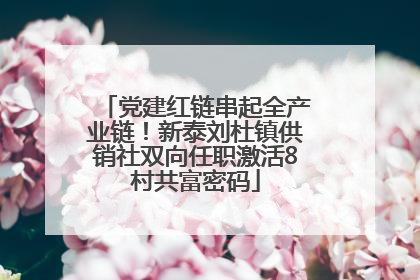 党建红链串起全产业链！新泰刘杜镇供销社双向任职激活8村共富密码