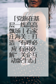党旗在基层一线高高飘扬丨石家庄海关：打造“有呼必应 有困必解”关企互动新生态