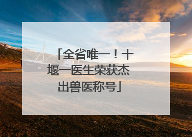 全省唯一！十堰一医生荣获杰出兽医称号