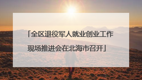 全区退役军人就业创业工作现场推进会在北海市召开