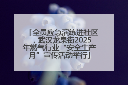 全员应急演练进社区，武汉龙泉街2025年燃气行业“安全生产月”宣传活动举行