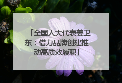 全国人大代表姜卫东：借力品牌创建推动高质效履职