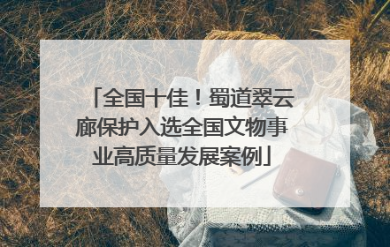 全国十佳！蜀道翠云廊保护入选全国文物事业高质量发展案例
