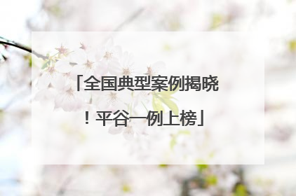 全国典型案例揭晓！平谷一例上榜