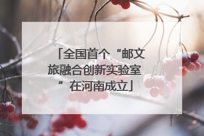 全国首个“邮文旅融合创新实验室”在河南成立