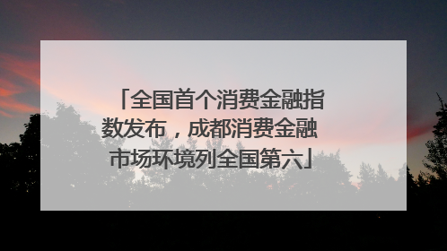 全国首个消费金融指数发布，成都消费金融市场环境列全国第六