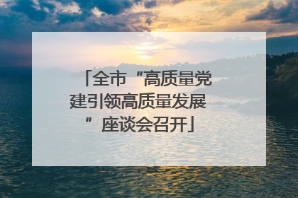 全市“高质量党建引领高质量发展”座谈会召开