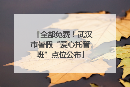 全部免费！武汉市暑假“爱心托管班”点位公布