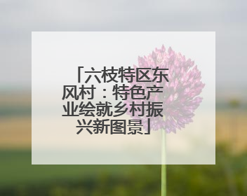 六枝特区东风村：特色产业绘就乡村振兴新图景