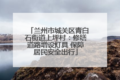 兰州市城关区青白石街道上坪村：修缮道路增设灯具 保障居民安全出行