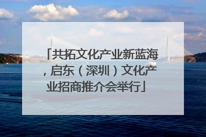 共拓文化产业新蓝海，启东（深圳）文化产业招商推介会举行