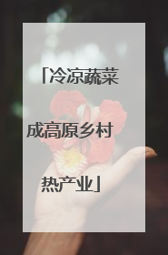 冷凉蔬菜成高原乡村热产业