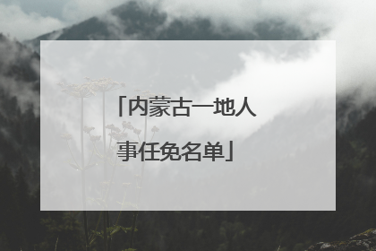 内蒙古一地人事任免名单