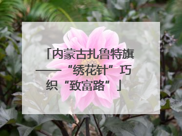 内蒙古扎鲁特旗——“绣花针”巧织“致富路”