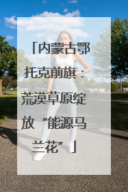 内蒙古鄂托克前旗：荒漠草原绽放“能源马兰花”