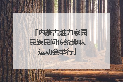 内蒙古魅力家园民族民间传统趣味运动会举行