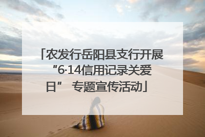 农发行岳阳县支行开展“6·14信用记录关爱日” 专题宣传活动
