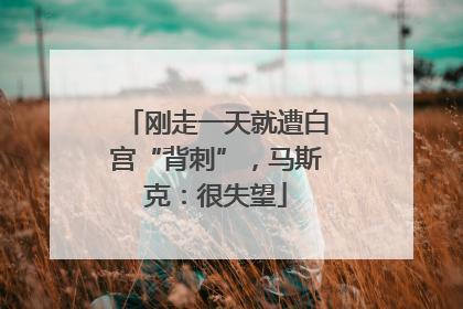刚走一天就遭白宫“背刺”，马斯克：很失望